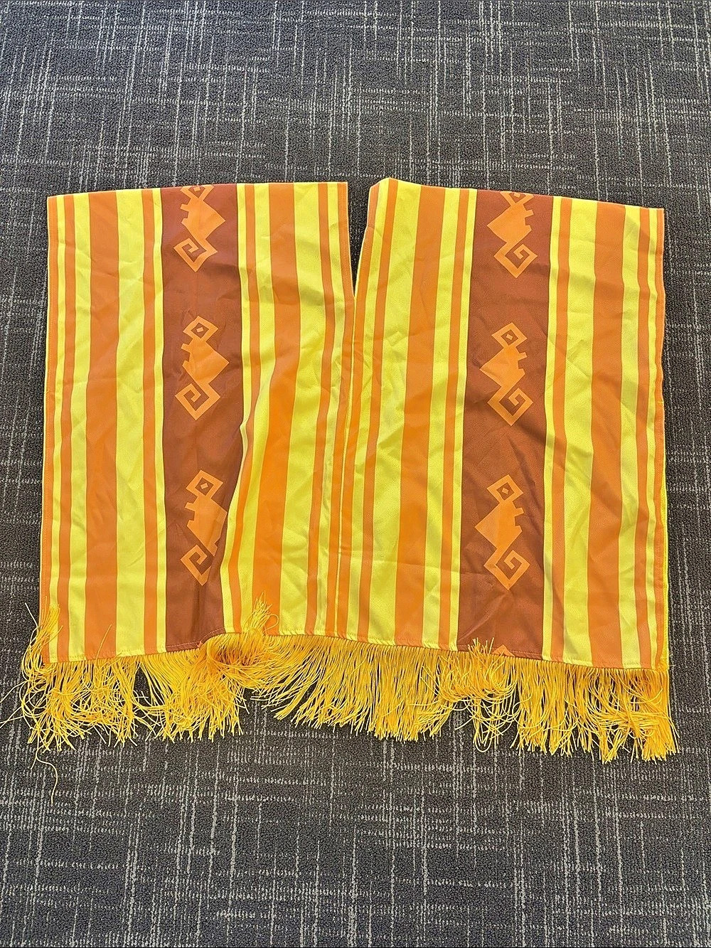 Encanto Camilo poncho costume